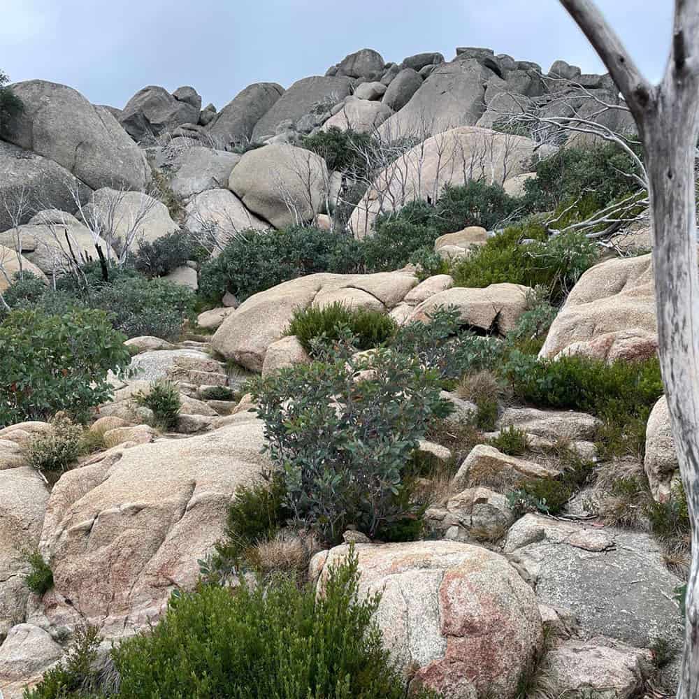 MtBuffalo-rocks