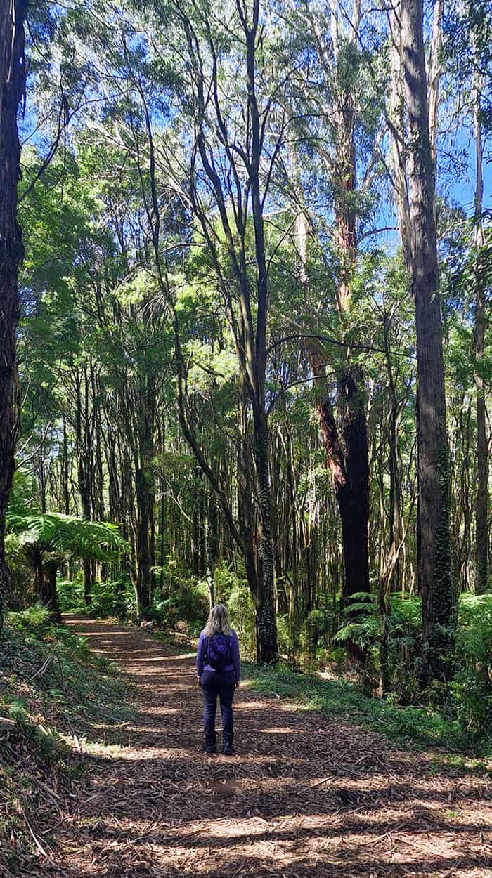 dandenong