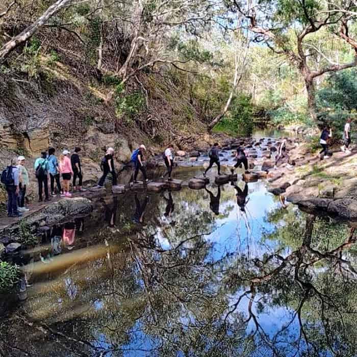 darebin-walk