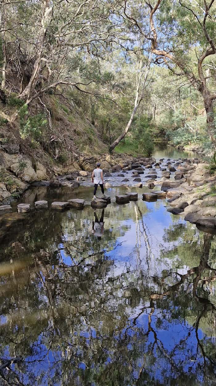 Darebin-stream