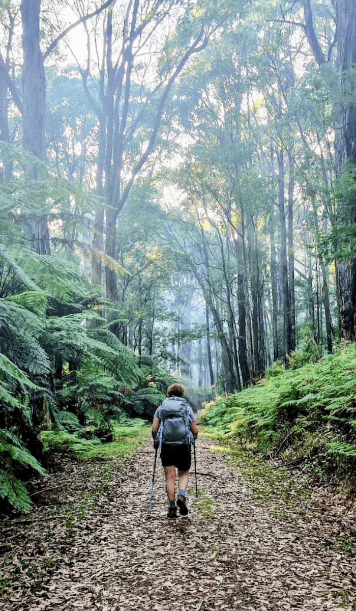 Dandenongs (700 x 1200 px)