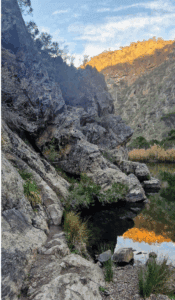 Werribee Gorge (700 x 1200 px)