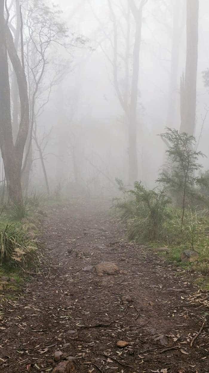 Mount Macedon Mist