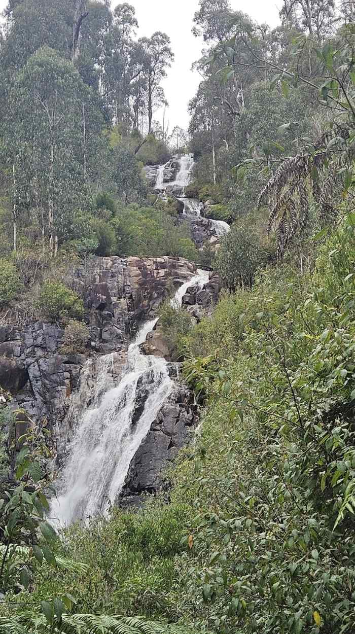 Steavenson Falls