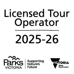 Vic Parks Logo