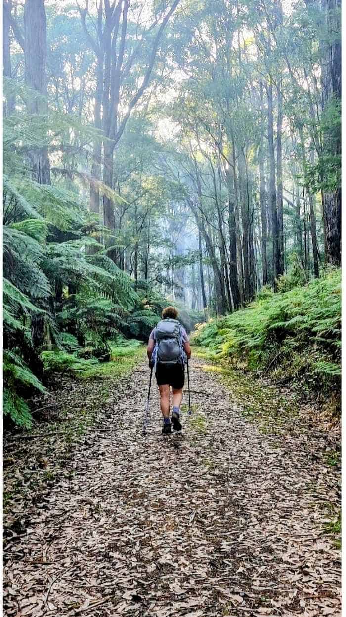 dandenongs solo hiker