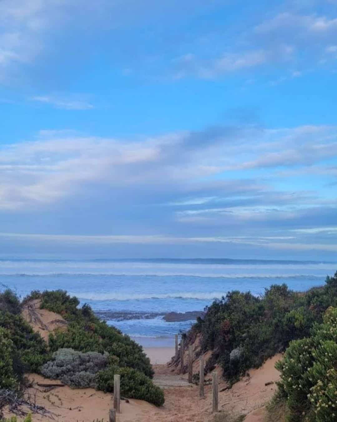 Mornington Path (45)