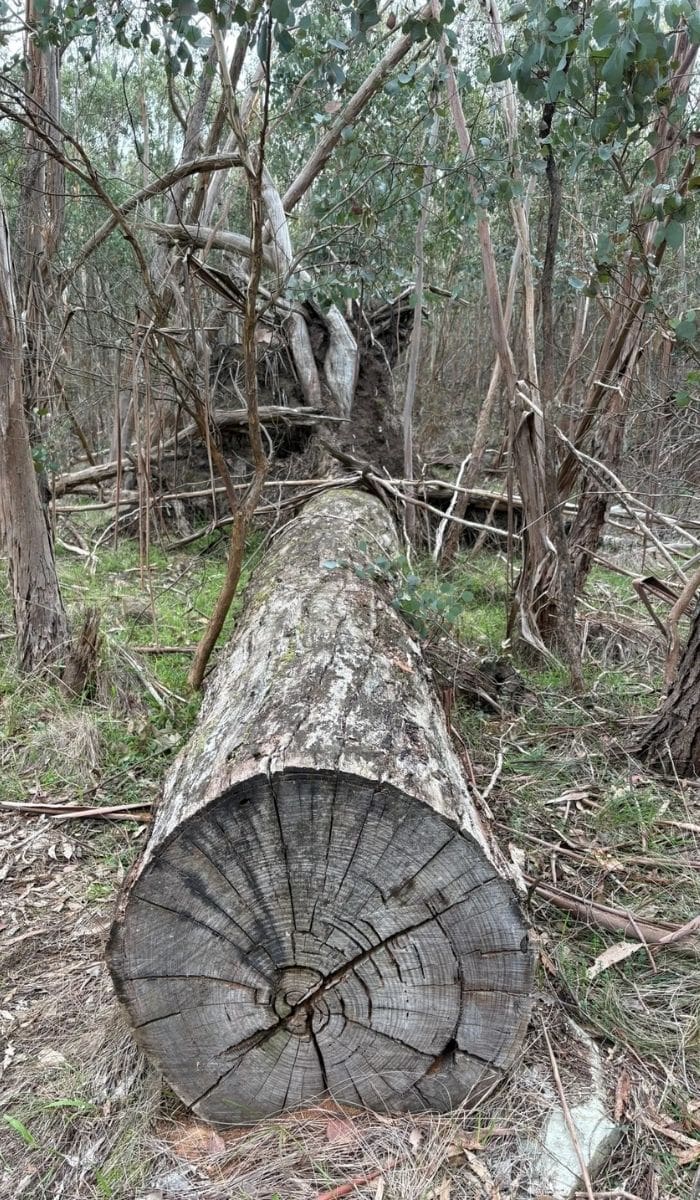Brisbane Ranges