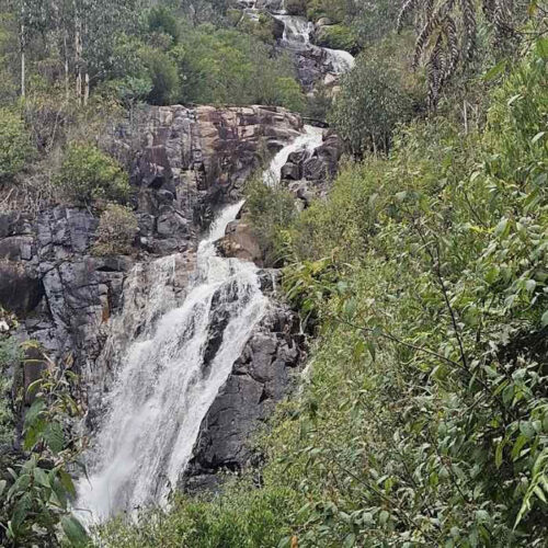 Steavenson Falls